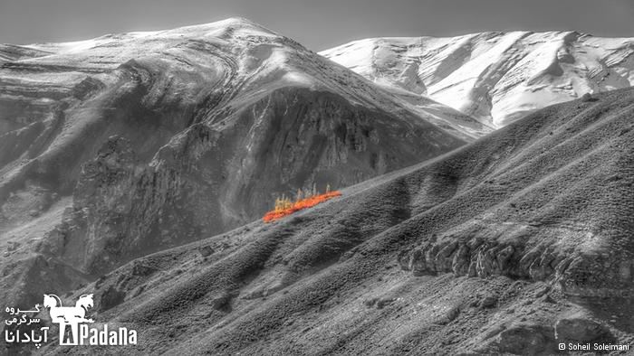 هنر عکاسی: گــزارش تصــویری از پاییــز رویــایی ایــران هنر عکاسی: گــزارش تصــویری از پاییــز رویــایی ایــران