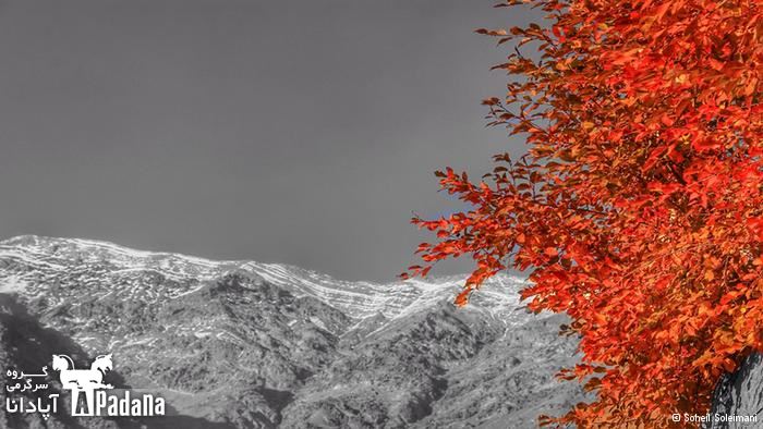 هنر عکاسی: گــزارش تصــویری از پاییــز رویــایی ایــران هنر عکاسی: گــزارش تصــویری از پاییــز رویــایی ایــران