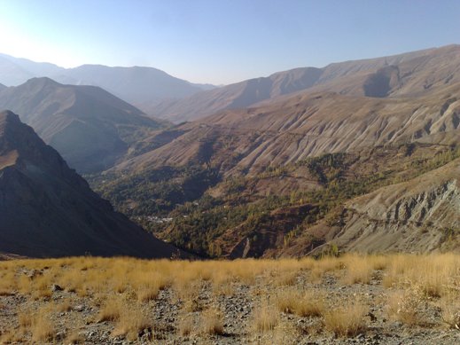 کهار
