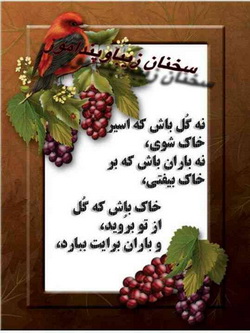 پاسخ به:اینجا همه چیز عالیه!!