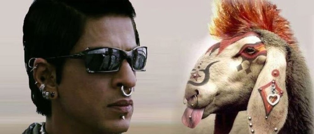 http://s5.picofile.com/file/8102382000/shahrukh_khan_fuy_pictures.jpg