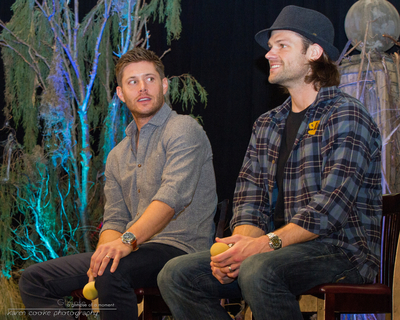 http://s5.picofile.com/file/8102571134/normal_JD_BurCon_Painel_09.jpg
