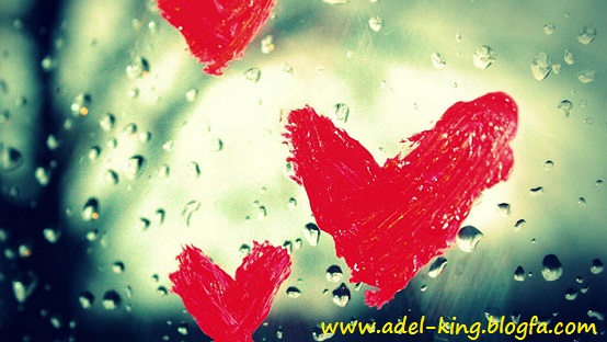 http://s5.picofile.com/file/8103012218/1_154_2.jpg