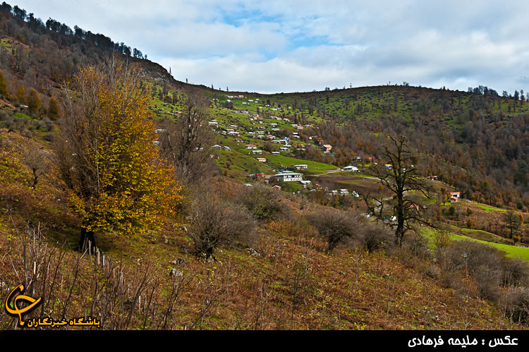 0575 روستای چسلی ماسال نیوز ایرانی عکس چسلی زیبا طبیعت جنگل پاییز روستا گیلان مناظر طبیعی