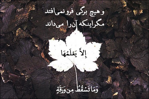 ♥بخوان و تفکر کن...(عکس نوشته های زیبا) ♥