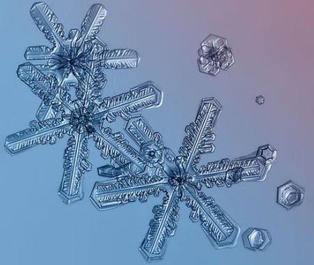 تصاویر میکروسکوپی از دانه های برف