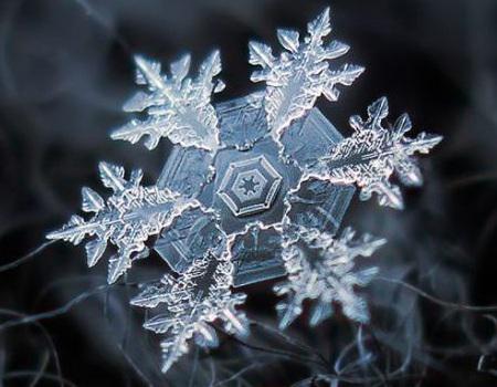تصاویر میکروسکوپی از دانه های برف
