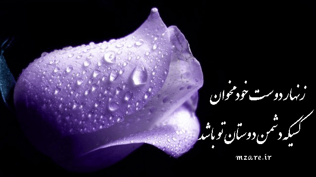 ساری,گاهنوشته های محمود زارع