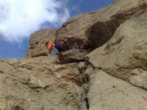 http://s5.picofile.com/file/8104087542/201312141194.jpg