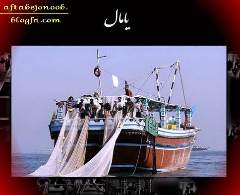 http://s5.picofile.com/file/8104154300/IMAGE634059132052352500.jpg