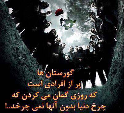 پاسخ به:اینجا همه چیز عالیه!!