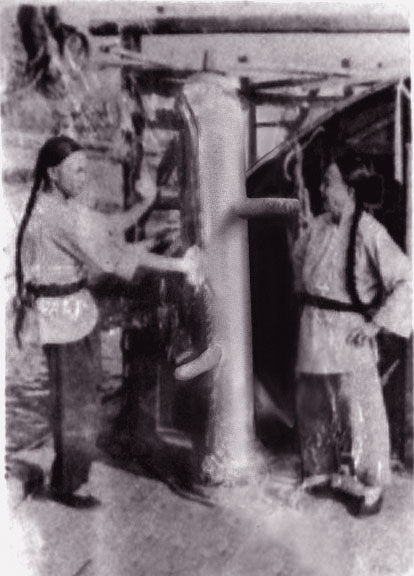 http://s5.picofile.com/file/8104637300/Wing_Chun1.jpg