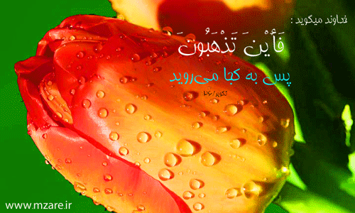 ساری , گاهنوشته های محمود زارع