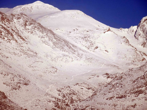 http://s5.picofile.com/file/8104950242/DSC02503.jpg