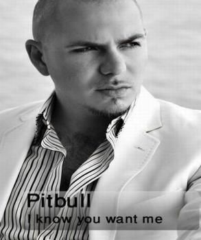 http://s5.picofile.com/file/8105095976/Pitbull_I_Know_You_want_me.jpg