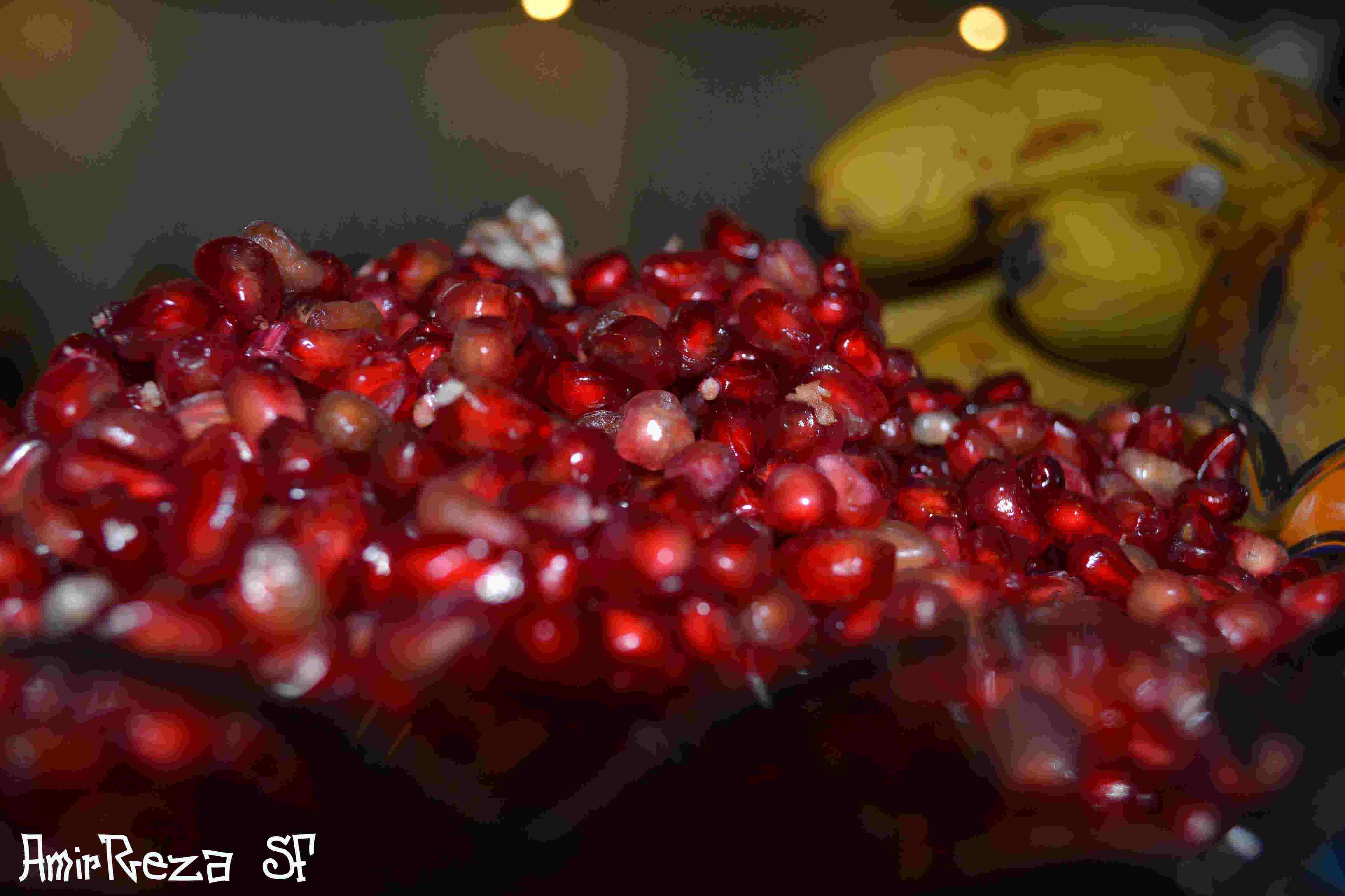 yalda2
