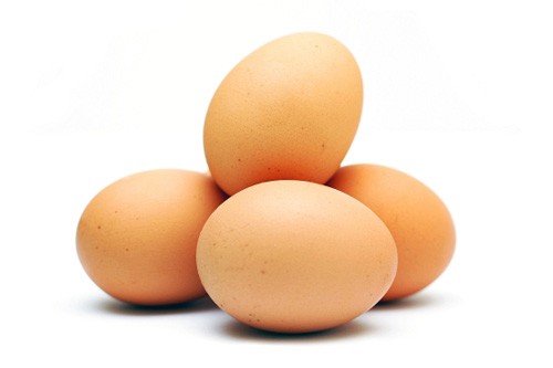 معمای جالب تخم مرغ ها | معمای تخم مرغ ها به همراه پاسخ