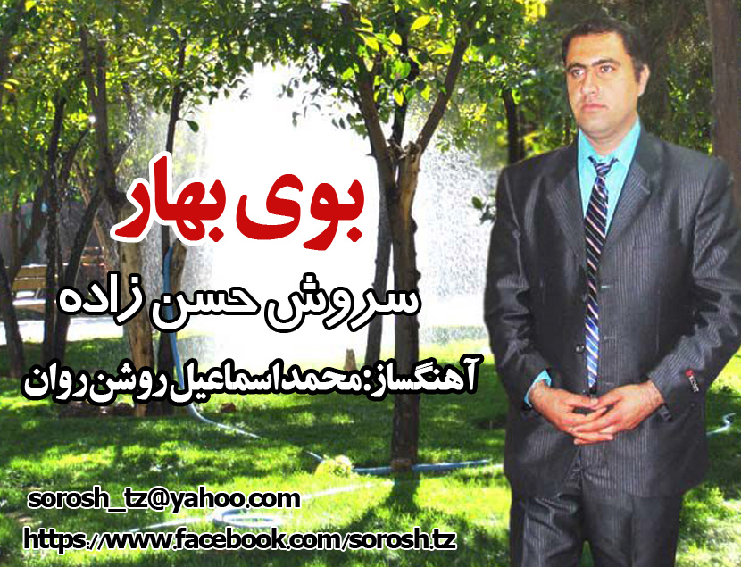 سروش حسن زاده
