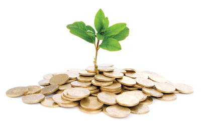 طراحی وب سایت به چه قیمتی ؟