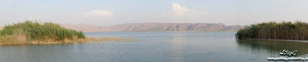 http://s5.picofile.com/file/8106352584/talab_hirm.jpg
