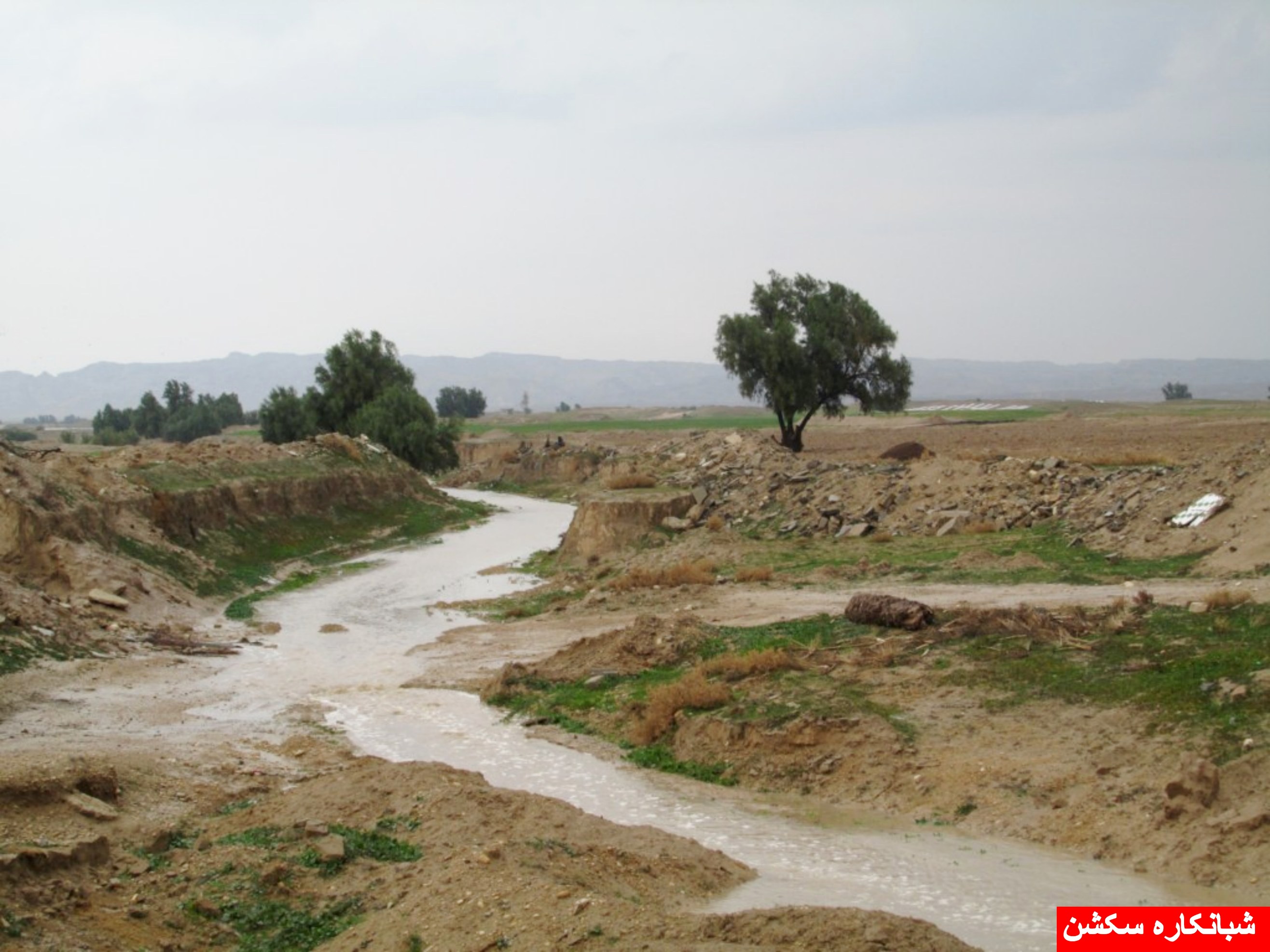 http://s5.picofile.com/file/8106788050/shabankaresection_1_.jpg