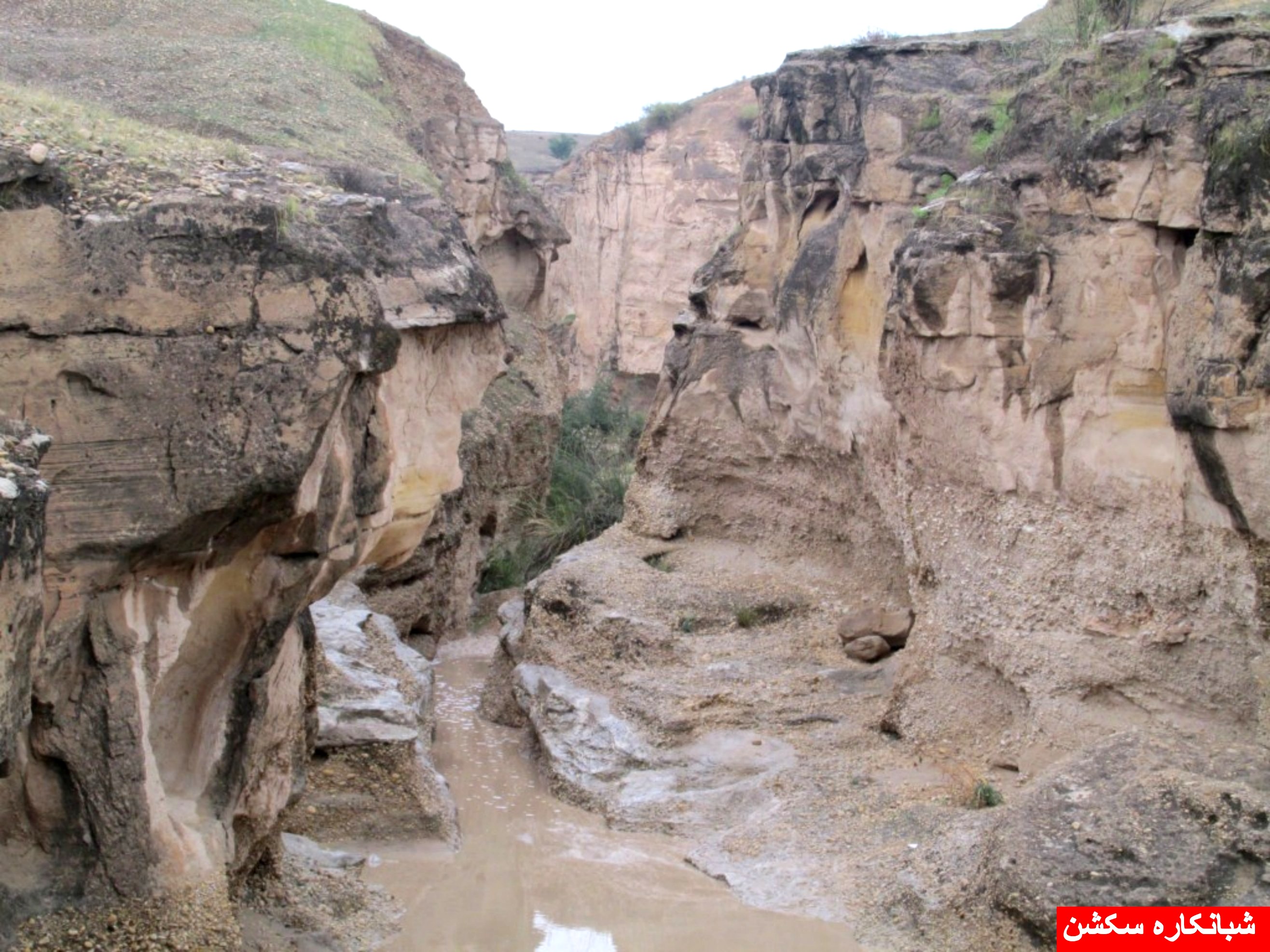 http://s5.picofile.com/file/8106788176/shabankaresection_2_.jpg