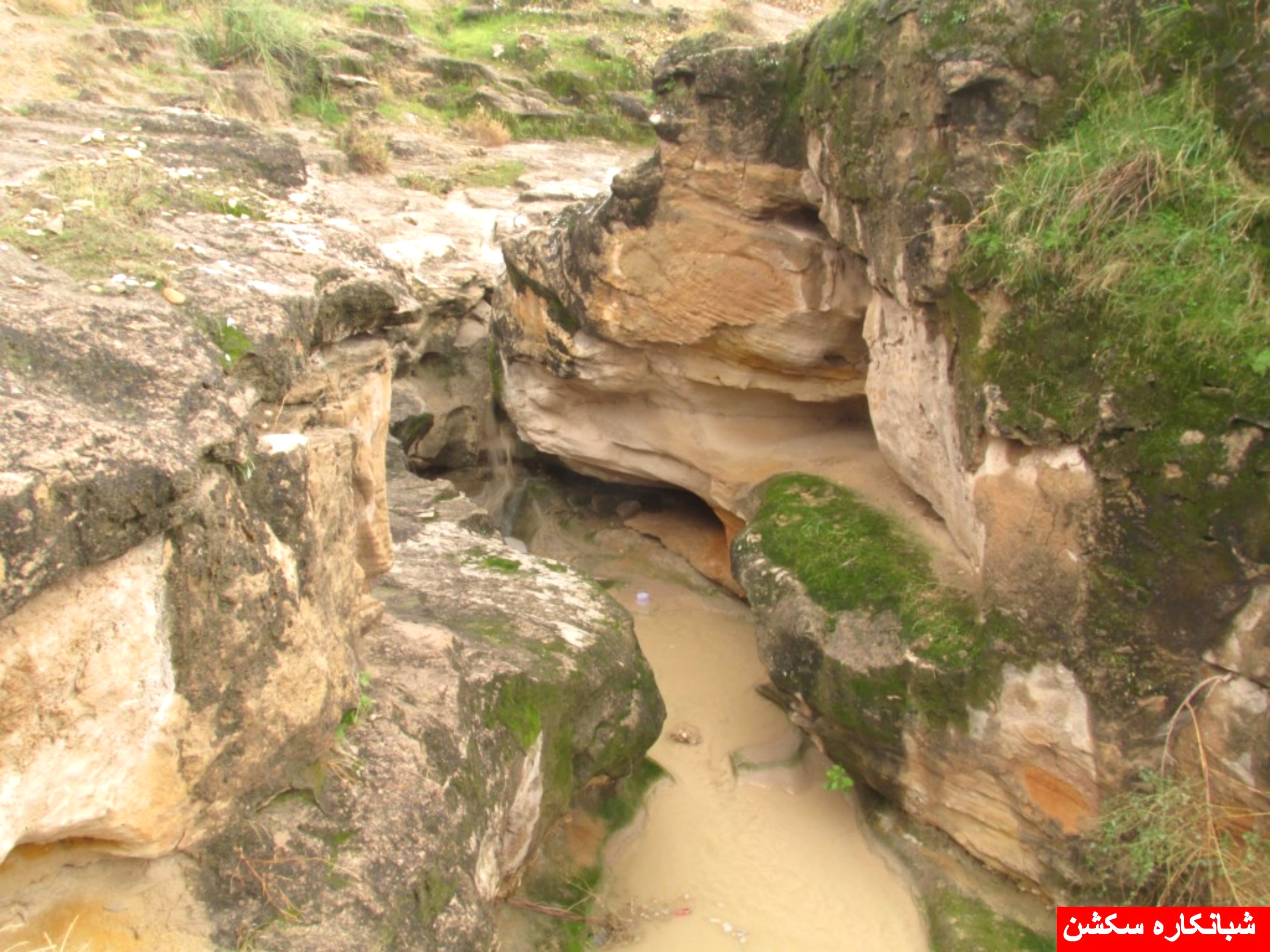 http://s5.picofile.com/file/8106788500/shabankaresection_5_.jpg