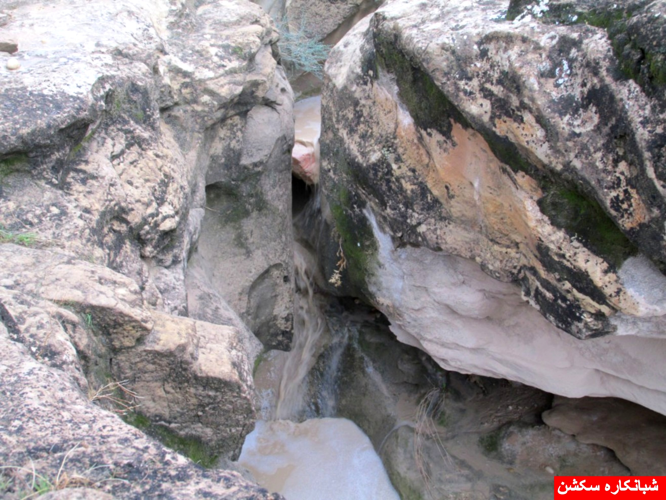 http://s5.picofile.com/file/8106788792/shabankaresection_4_.jpg