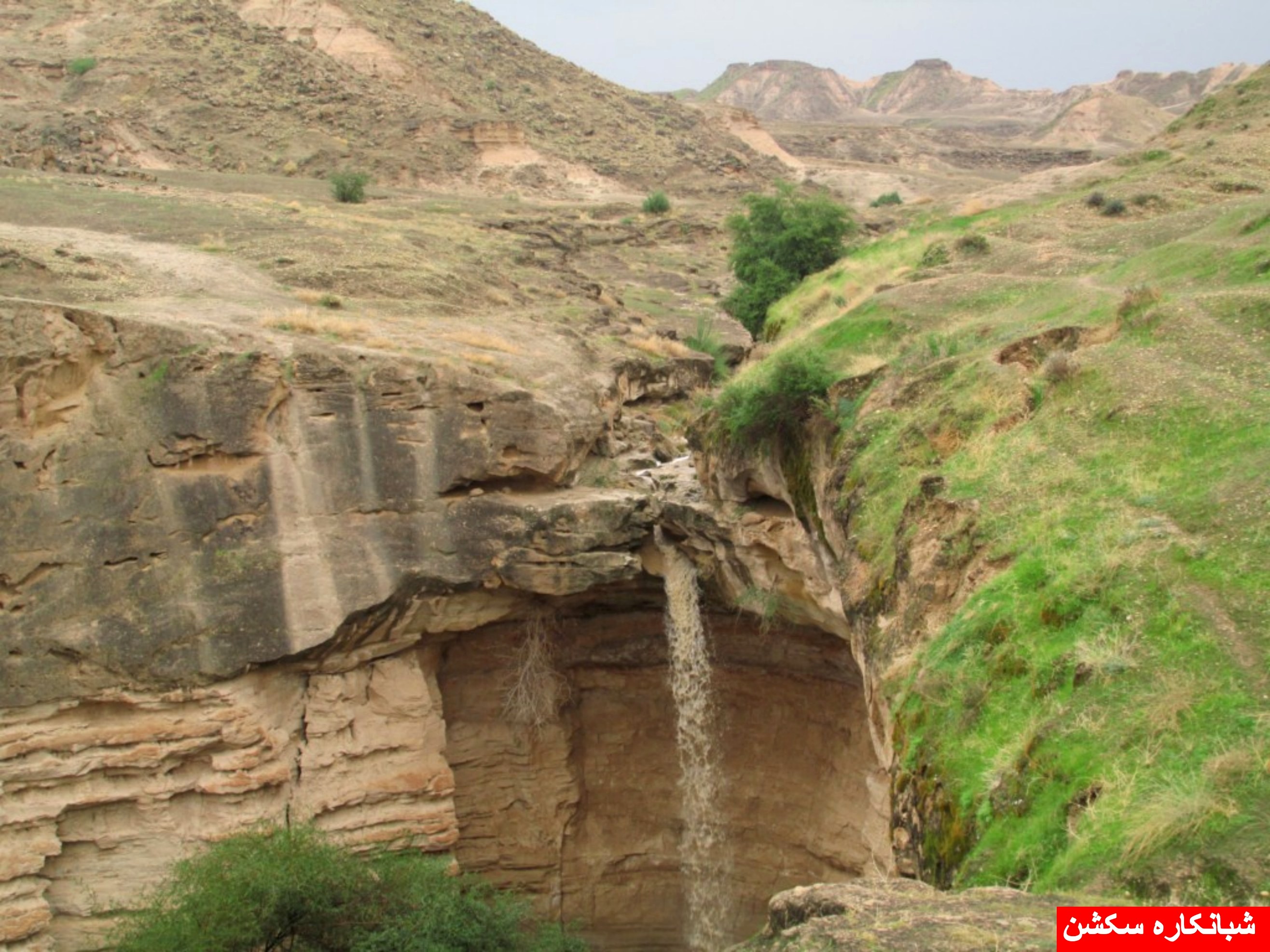 http://s5.picofile.com/file/8106789268/shabankaresection_8_.jpg