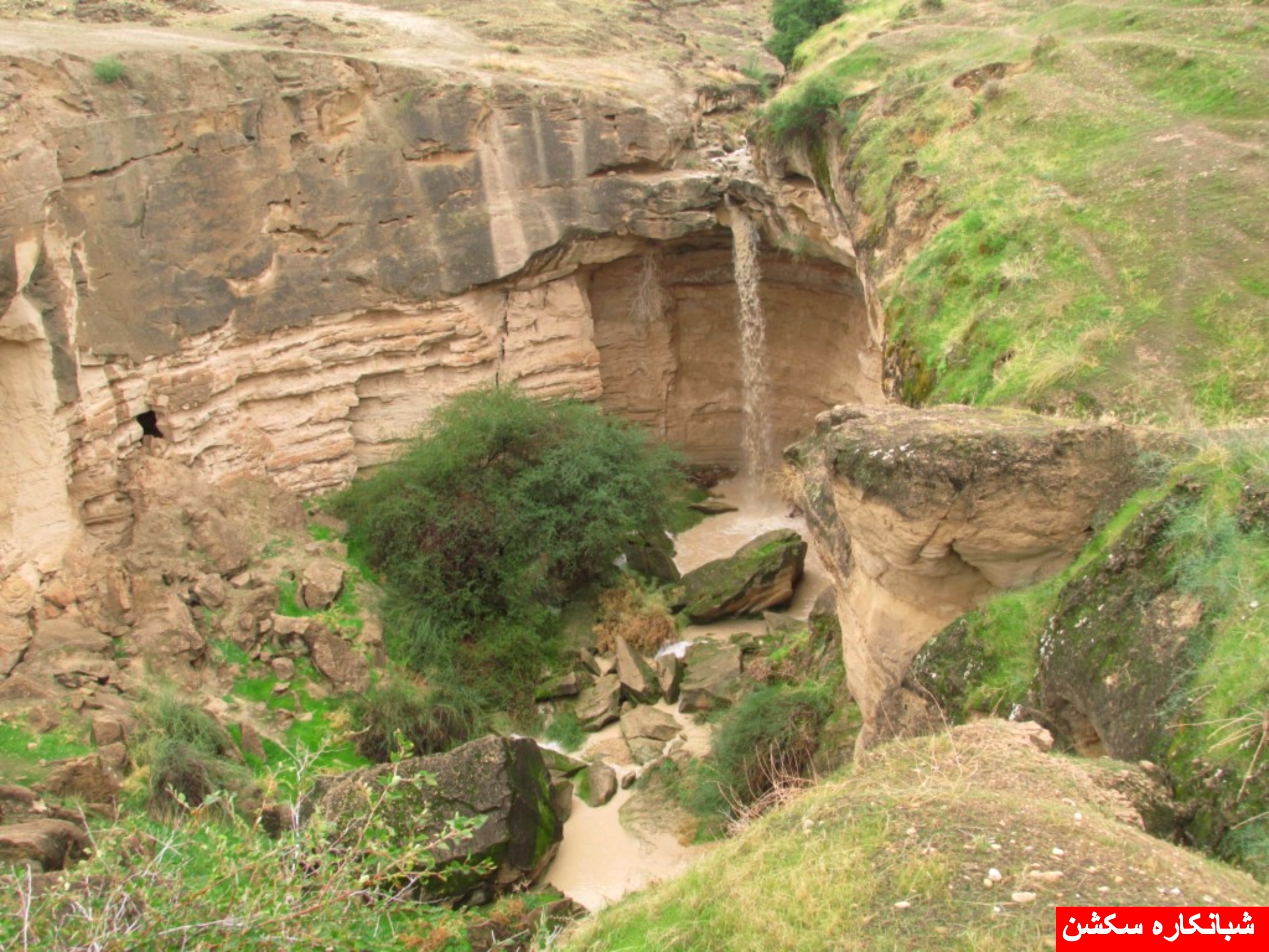 http://s5.picofile.com/file/8106789442/shabankaresection_9_.jpg