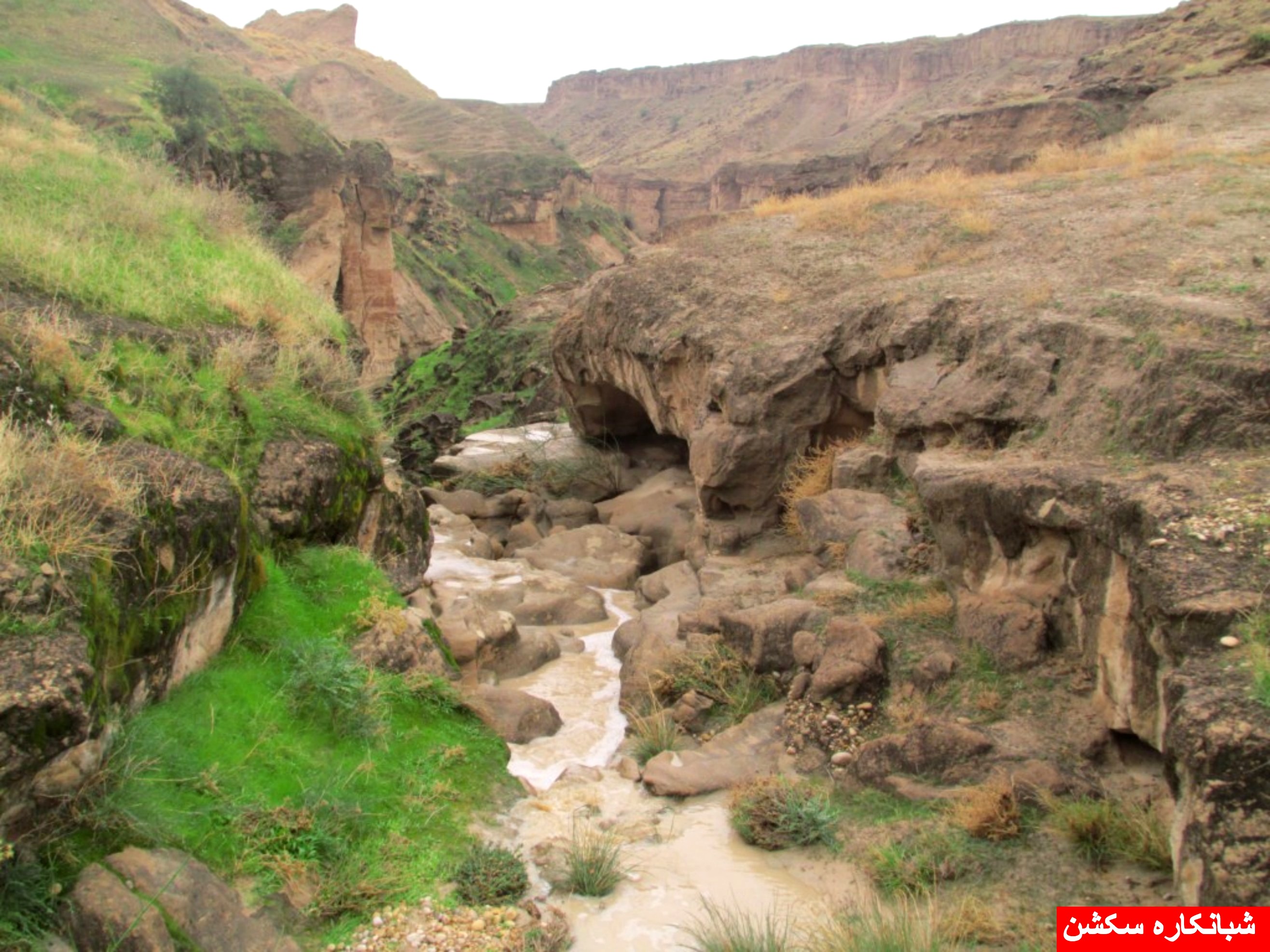 http://s5.picofile.com/file/8106789542/shabankaresection_10_.jpg