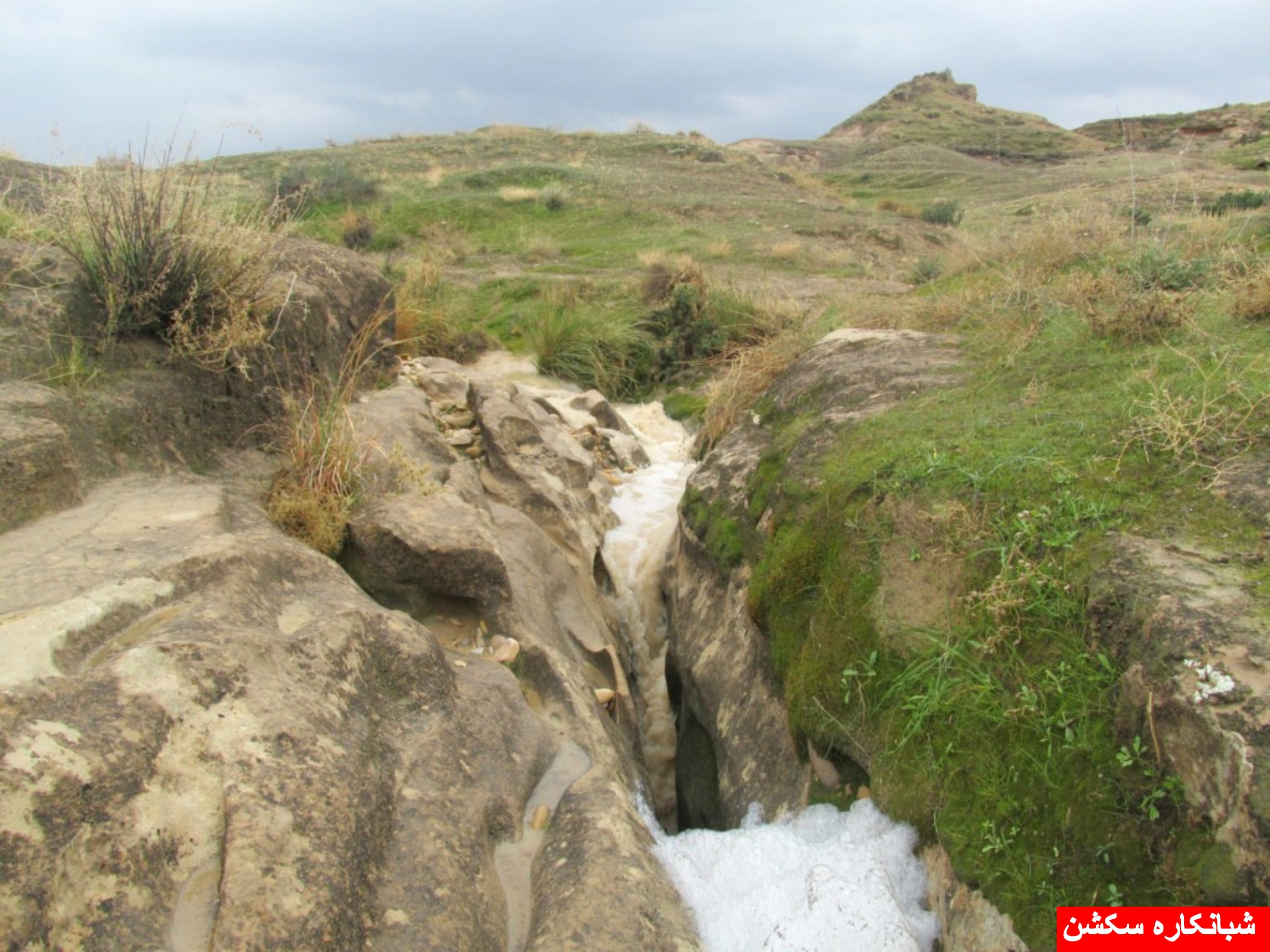 http://s5.picofile.com/file/8106789676/shabankaresection_11_.jpg