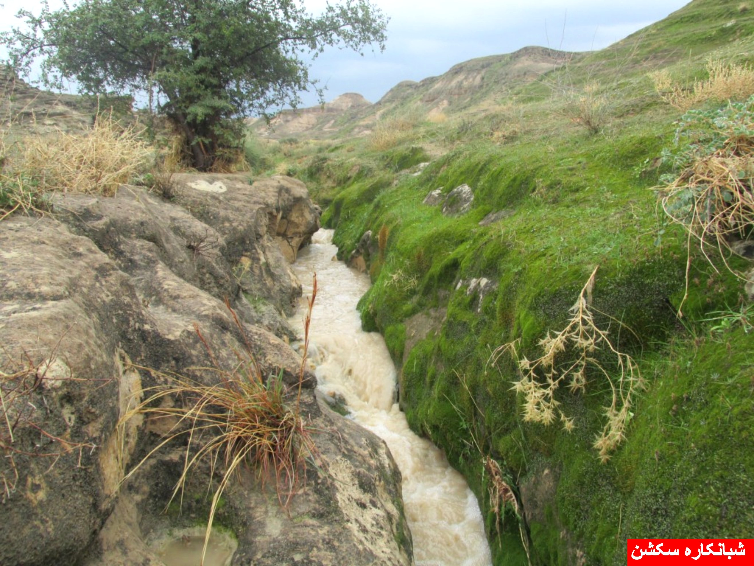 http://s5.picofile.com/file/8106790318/shabankaresection_14_.jpg