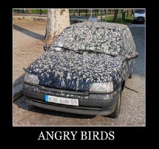 پرندگان خشمگین ـ angry birds