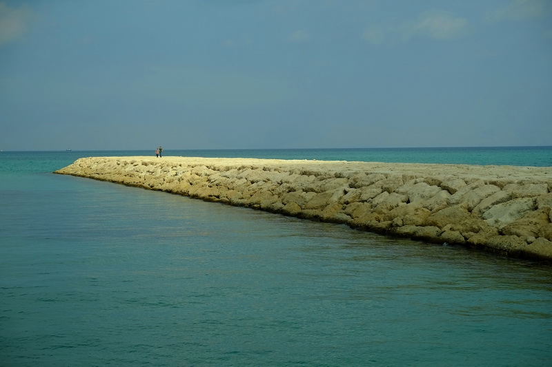 DSCF6448.jpg (800×533)