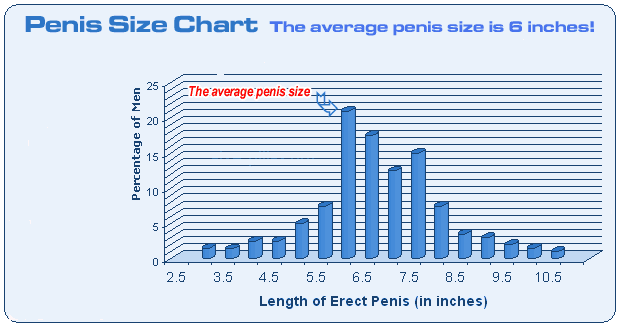 penis chart