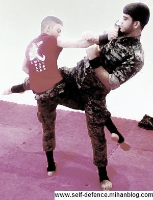 http://s5.picofile.com/file/8107559576/9.jpg