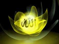related image