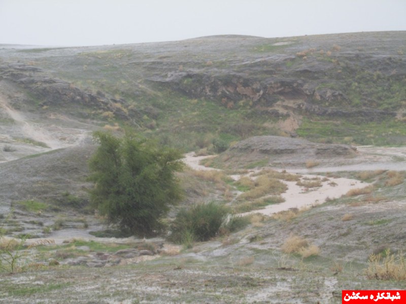 http://s5.picofile.com/file/8107680050/IMG_0628_1024x768_800x600_.jpg