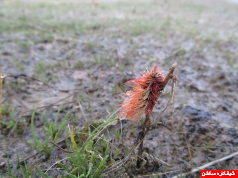 http://s5.picofile.com/file/8107680084/IMG_0636_1024x768_800x600_.jpg