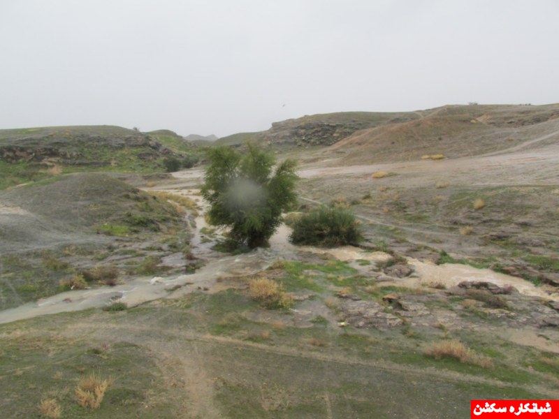 http://s5.picofile.com/file/8107680134/IMG_0645_1024x768_800x600_.jpg
