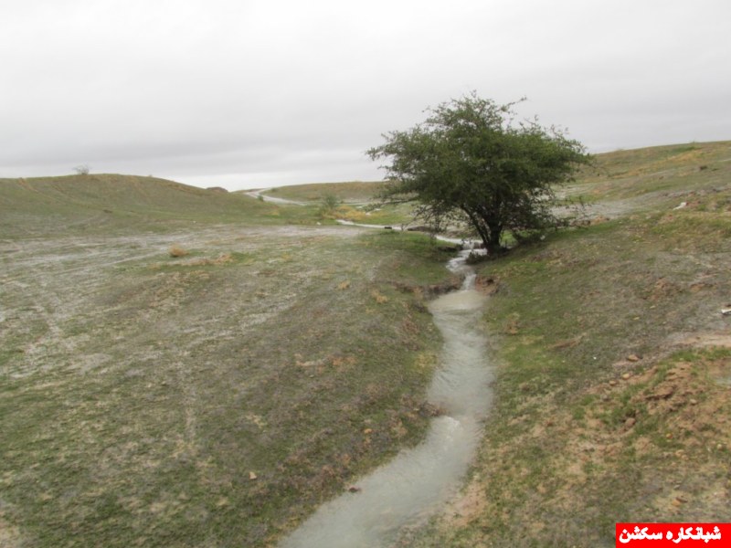 http://s5.picofile.com/file/8107680250/IMG_0681_1024x768_800x600_.jpg