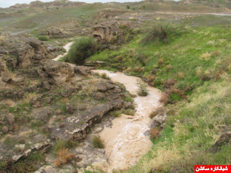 http://s5.picofile.com/file/8107680268/IMG_0684_1024x768_800x600_.jpg