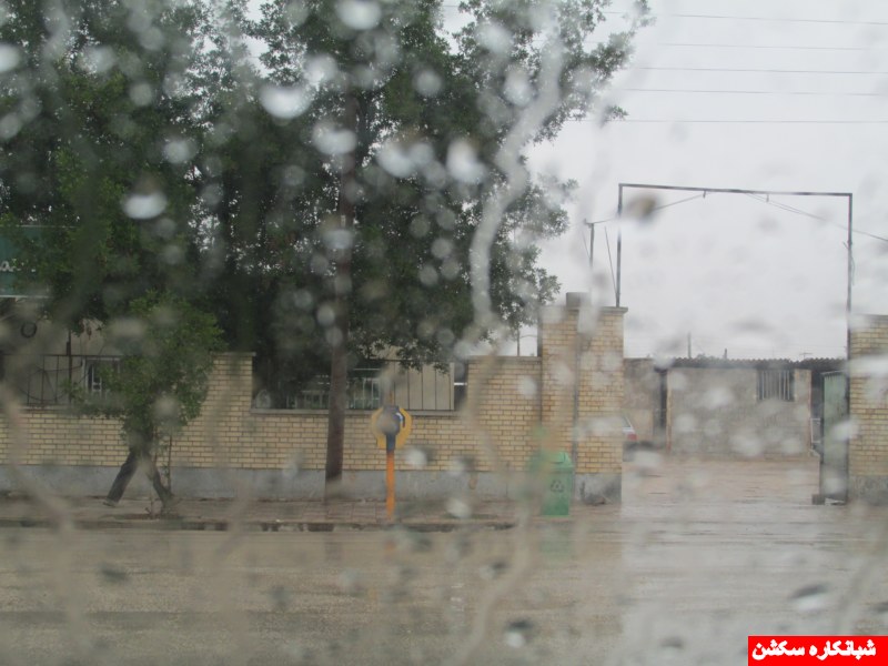 http://s5.picofile.com/file/8107681684/IMG_0531_800x600_.jpg