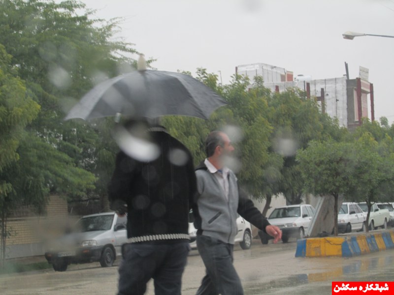http://s5.picofile.com/file/8107681784/IMG_0550_800x600_.jpg