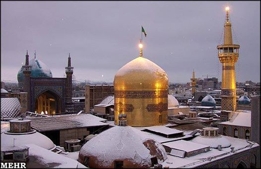 پاسخ به:عاشقان امام رضا