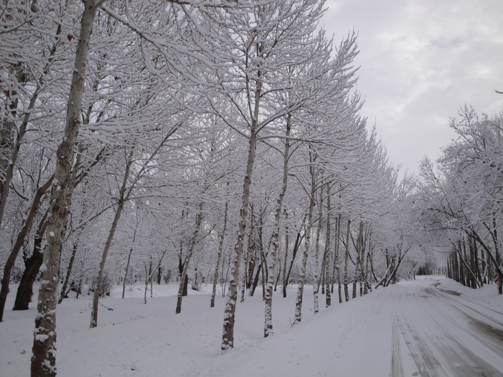 http://s5.picofile.com/file/8107802100/DSC0057500.jpg