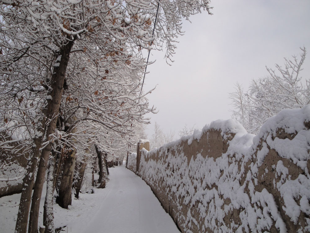 http://s5.picofile.com/file/8107802134/DSC0054000.jpg