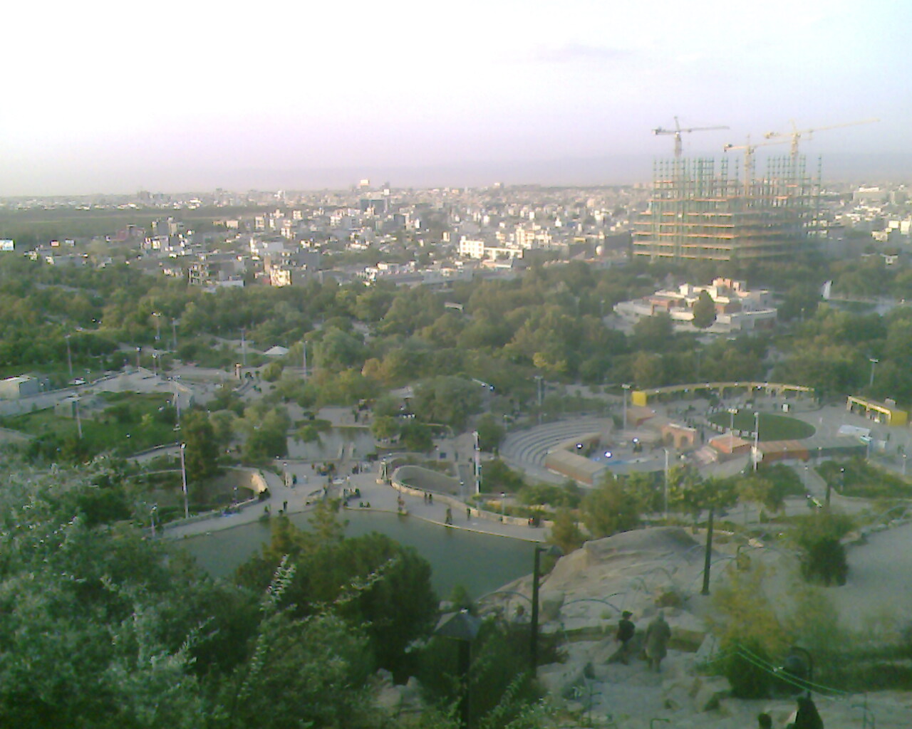 IMG2453A.jpg