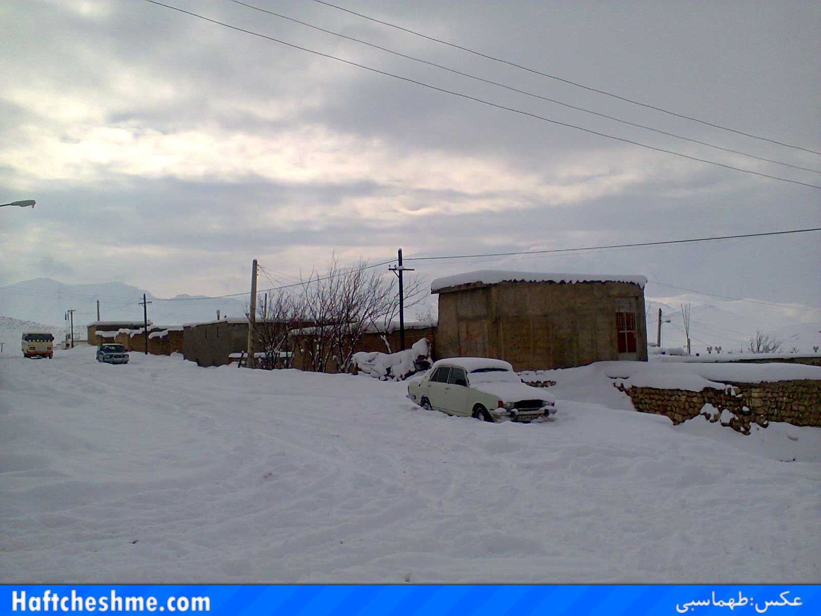 http://s5.picofile.com/file/8108035142/barf1.jpg